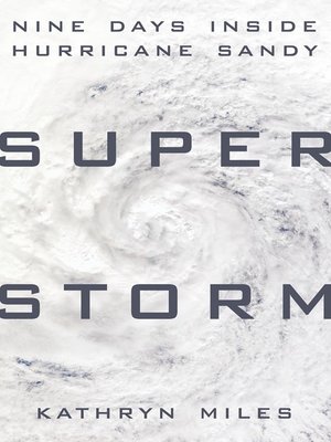 cover image of Superstorm